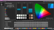 CalMAN ColorChecker with the integrated calibration