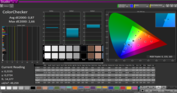 CalMAN ColorChecker with our calibration