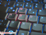 Red WASD key group.