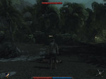 Risen: not playable, 20 fps in low 800x600