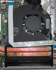 The fan can be removed for cleaning purposes.