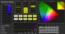 CalMAN Saturation Sweeps calibrated