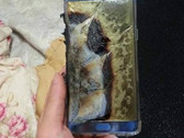 Samsung Galaxy Note 7 blown up due to USB Type-C convertor recharging