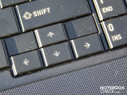The input devices are well-arranged and useable.