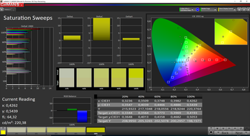 Saturation Sweeps (Standard, target color space: sRGB)