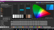 CalMAN ColorChecker pre-calibration