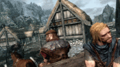 The Elder Scrolls - Skyrim: unplayable in low