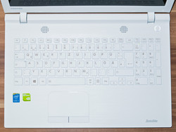 Input devices C55-C-1NE