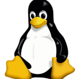 Penguin Tux is the official mascot of Linux, he is celebrating his 20th anniversary.