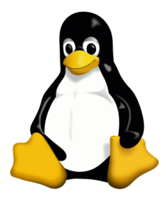 Penguin Tux is the official mascot of Linux, he is celebrating his 20th anniversary.