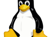 Penguin Tux is the official mascot of Linux, he is celebrating his 20th anniversary.