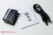 The modular power adapter with its USB cable...