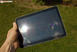 Outdoors: Direct light Outdoors: Direct light