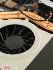 Despite the identical GPUs, their fans are not the same size