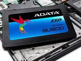 Analysts expect SSD prices to rise next year