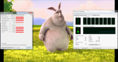 Big Buck Bunny H.264 1920 x 1080 Windows Media Player