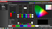 CalMAN Color Management