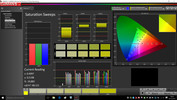 CalMAN Saturation Sweeps pre-calibration