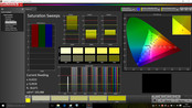 CalMAN Color saturation pre-calibration
