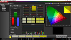 CalMAN Saturation Sweeps (pre-calibration)