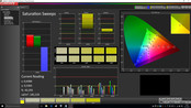 CalMAN Saturation Sweeps pre-calibration