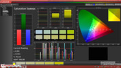 CalMAN: Saturation Sweeps pre-calibration