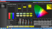 Calman 5.1 Software: Saturation sweeps