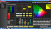 Calman 5.1 software: saturation sweeps