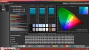 CalMAN: ColorChecker pre-calibration