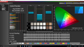 CalMAN ColorChecker pre-calibration