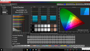 CalMAN ColorChecker pre-calibration