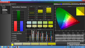 Calman 5.1 software: saturation sweeps