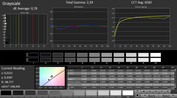 CalMAN: Grayscale (calibrated)