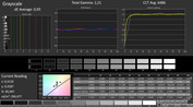 CalMAN: Grayscale (calibrated)