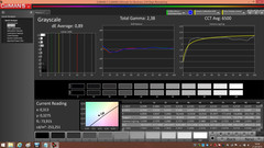 CalMAN - Gray levels (calibrated)