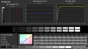 CalMan: Grayscale (after calibration)