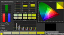 CalMAN: Saturation Sweeps (calibrated)