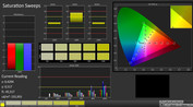 CalMAN: Saturation Sweeps (calibrated)