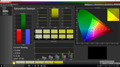 CalMAN - Saturation Sweeps (calibrated)