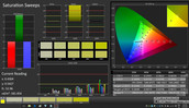 CalMAN: Saturation Sweeps (calibrated)