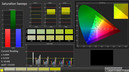 CalMAN: Saturation Sweeps (calibrated)