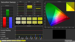 CalMAN: Saturation Sweeps (calibrated)