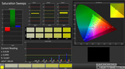 CalMAN: Saturation Sweeps (calibrated)