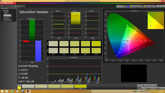 CalMAN - Saturation Sweeps (calibrated)