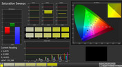 CalMAN: Saturation Sweeps (calibrated)