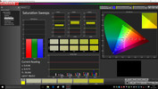 CalMAN Saturation Sweeps calibrated