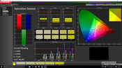 CalMan color saturation calibrated