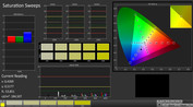 CalMAN: Saturation Sweeps (calibrated)