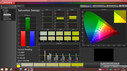 CalMAN Saturation Sweeps after calibration