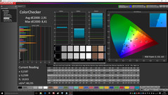 CalMAN ColorChecker (after calibration)